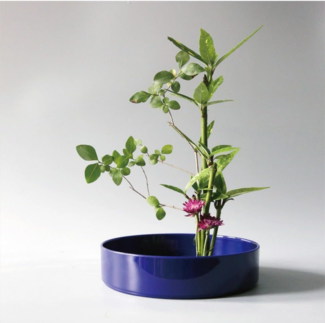 Amazon.co.jp: 生花用の花器 花瓶 鉢 盆栽鉢 プラスチック製 水盤